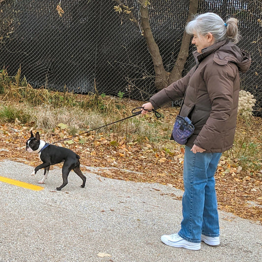 Looky-Loo Part II (Dog Training Game)