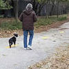 Real World Dog Training