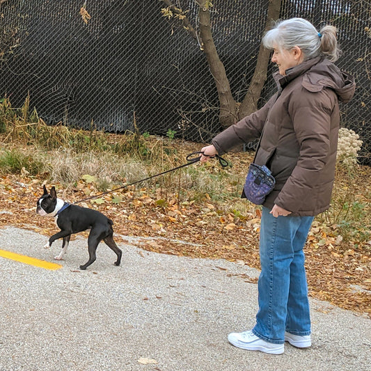 Stop Dead! The Simple Game to End Leash Pulling