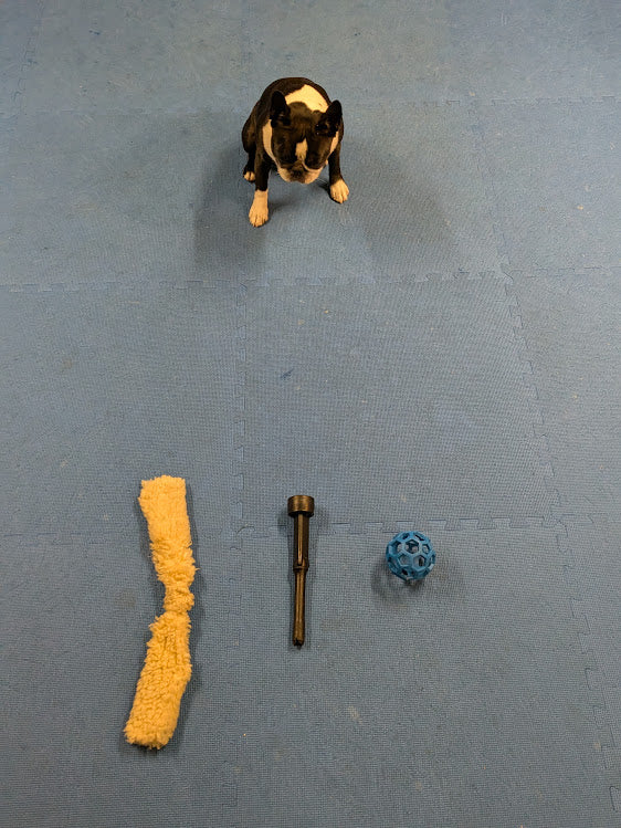 Dog Training Game - Trade Ya