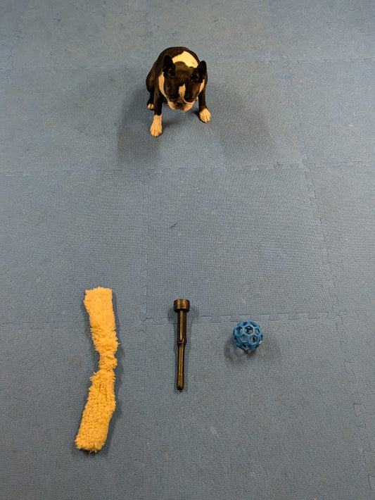 Dog Training Game - Trade Ya