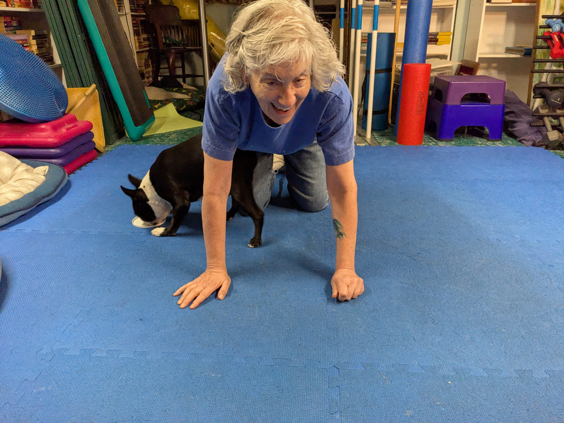 Dog Training Game - Under