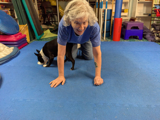 Dog Training Game - Under