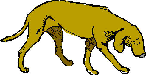 What does your dog's name mean?