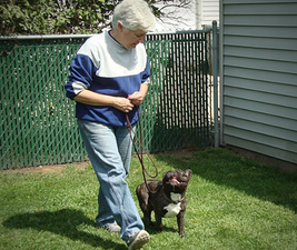 Making a game of dog manners