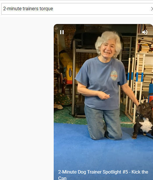 Dog Training Games Video Is Priceless
