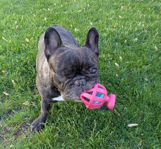 Training Game: Hold it!