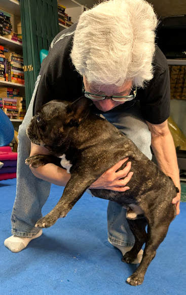 Tired of the Nail Trim Battle? Install a "Start Button" in Your Dog