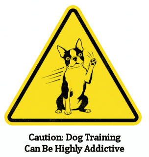 Warning! Playing Dog Training Games Will Change Your Life