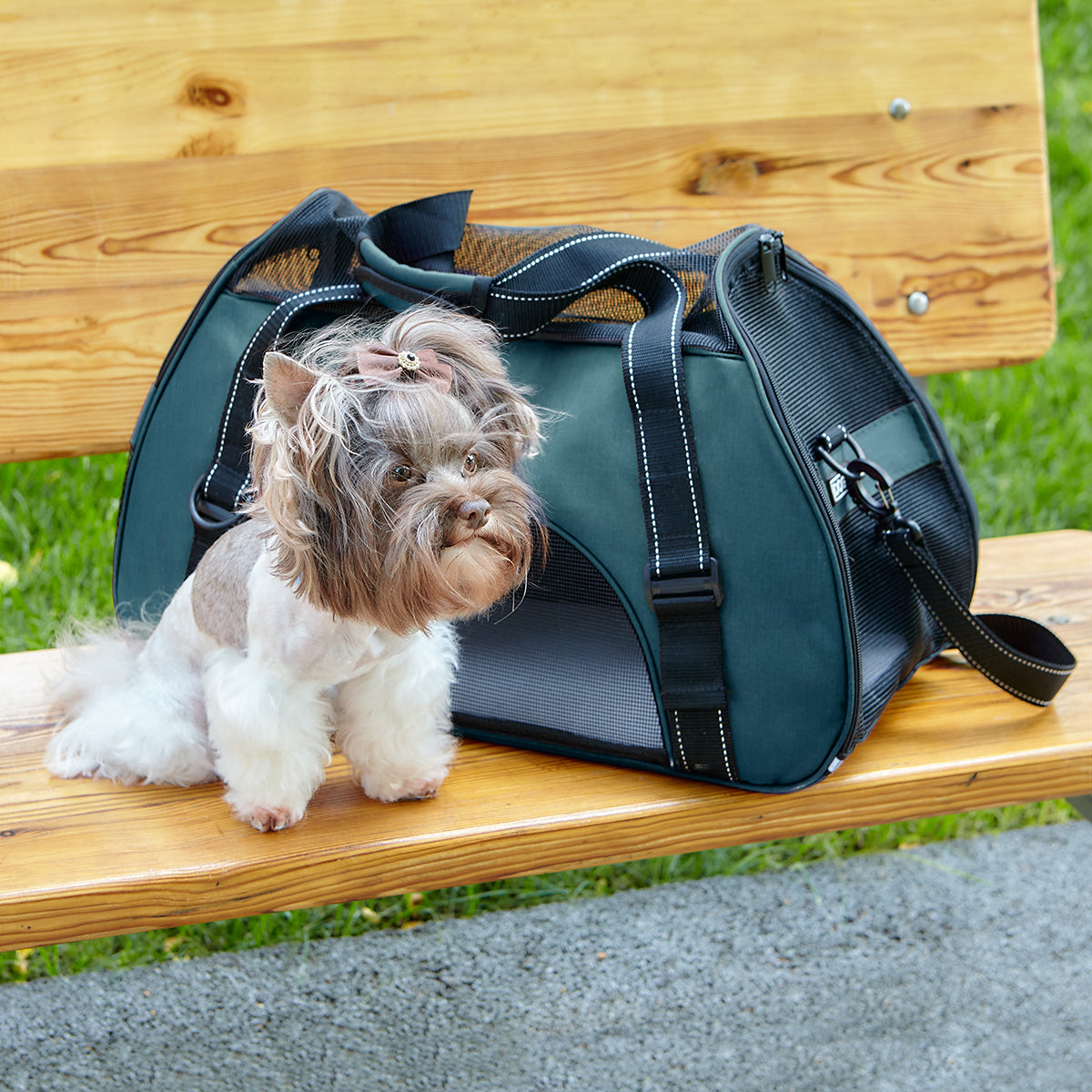 Pet Carrier Bag - Partner Brand