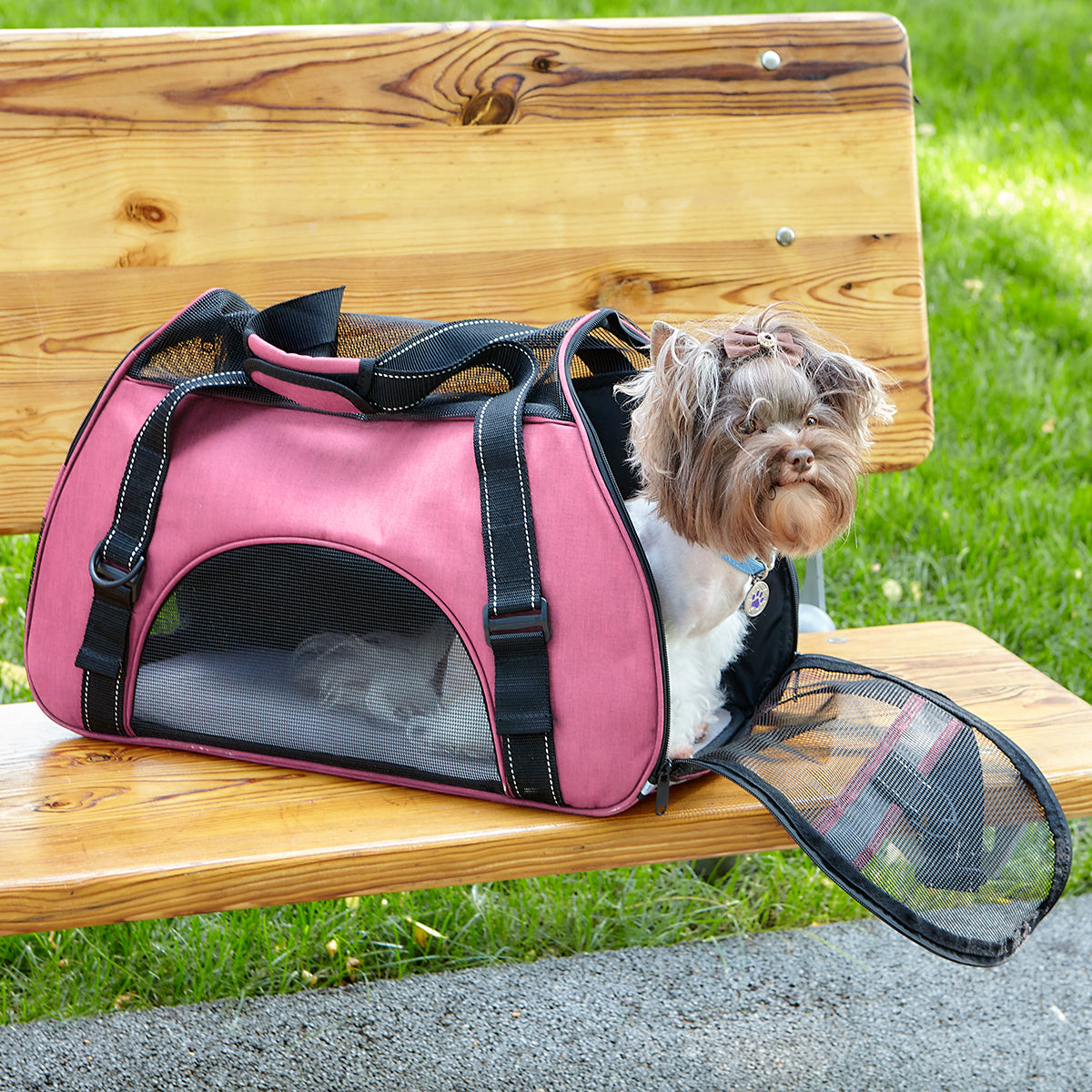 Pet Carrier Bag - Partner Brand