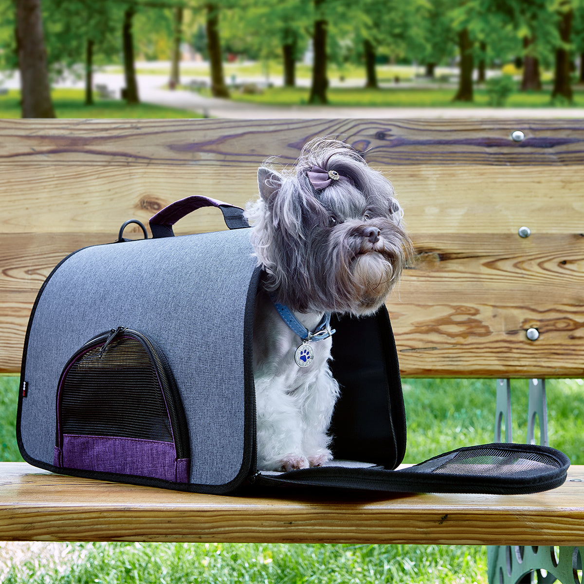 Dual Color Collapsible Pet Carrier - Partner Brand