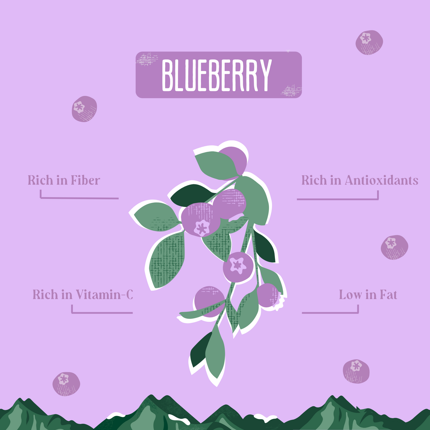 Blueberry Cheese Chews for Dogs - Partner Brand