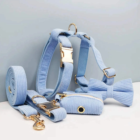 Blue Corduroy Set - Partner Brand