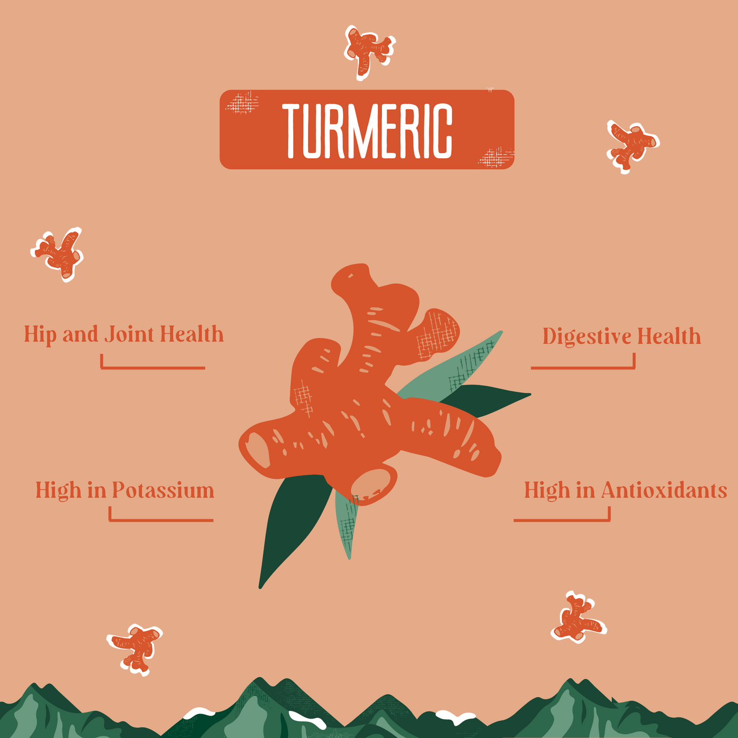 Turmeric Cheese Chews for Dogs - Partner Brand