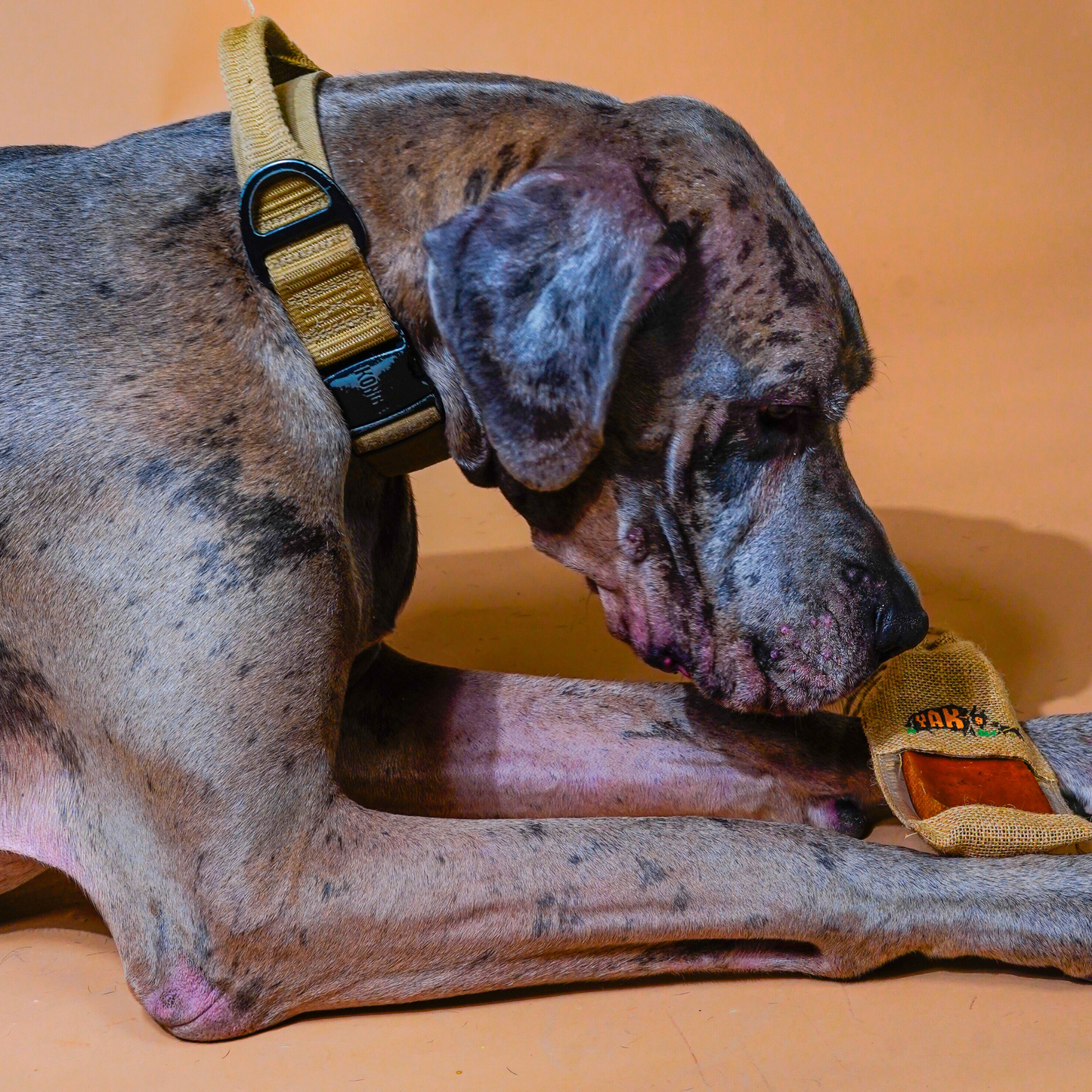 100% Yak Milk Chews for Dogs - Partner Brand