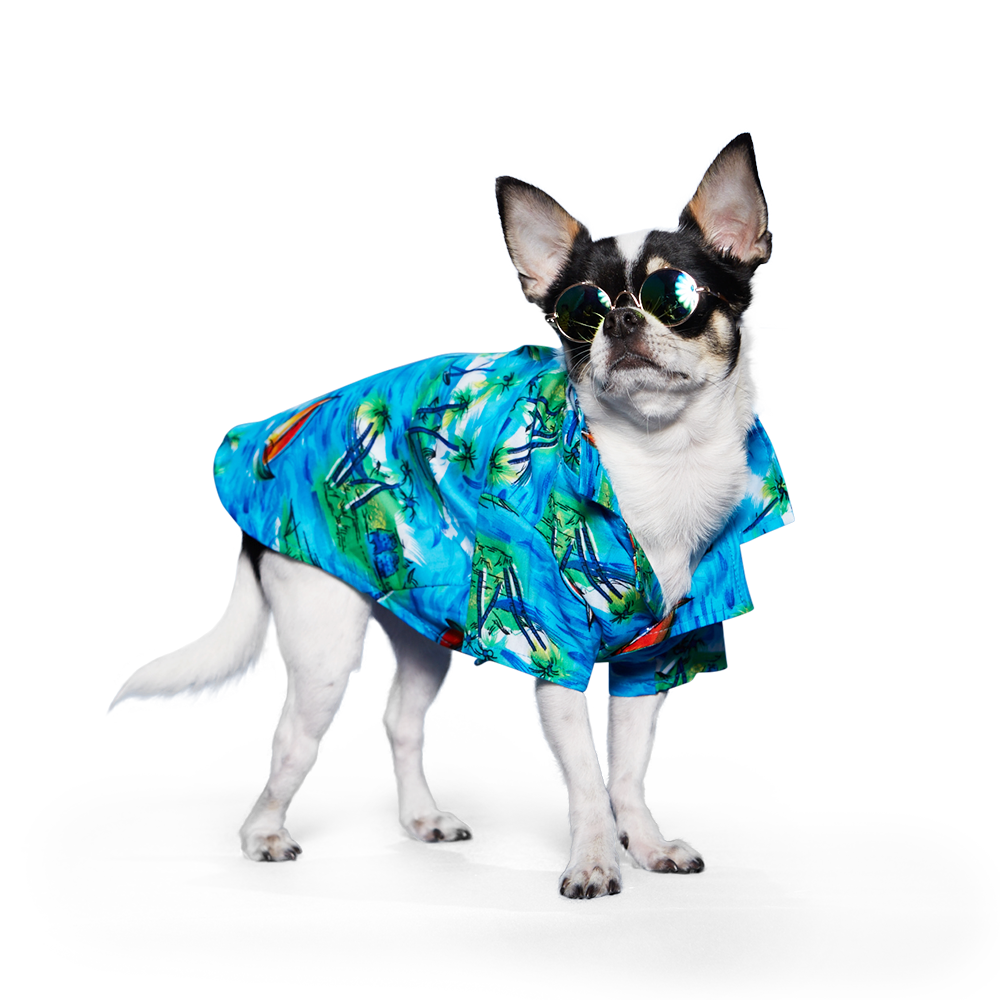 Aloha Shirt - Partner Brand