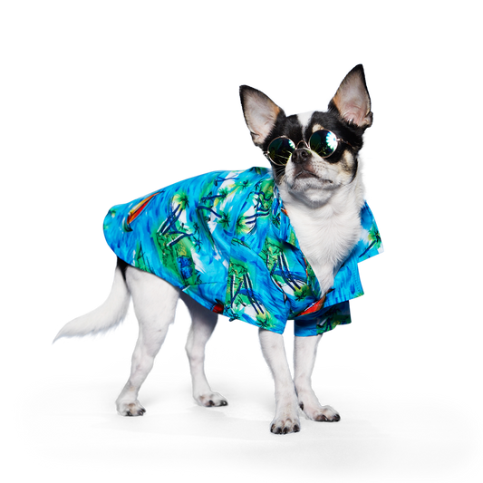 Aloha Shirt - Partner Brand