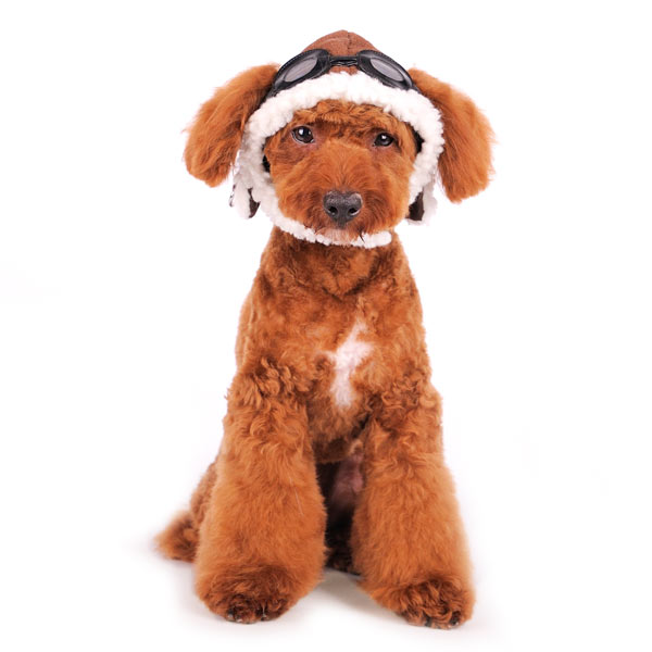 Aviator Hat - Partner Brand