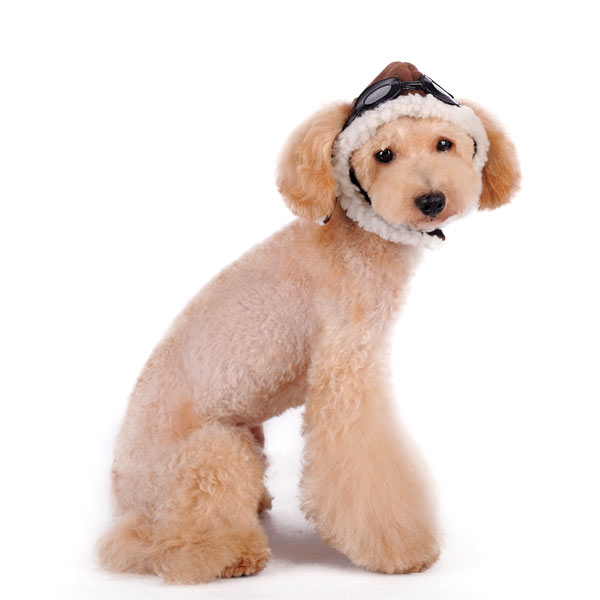 Aviator Hat - Partner Brand