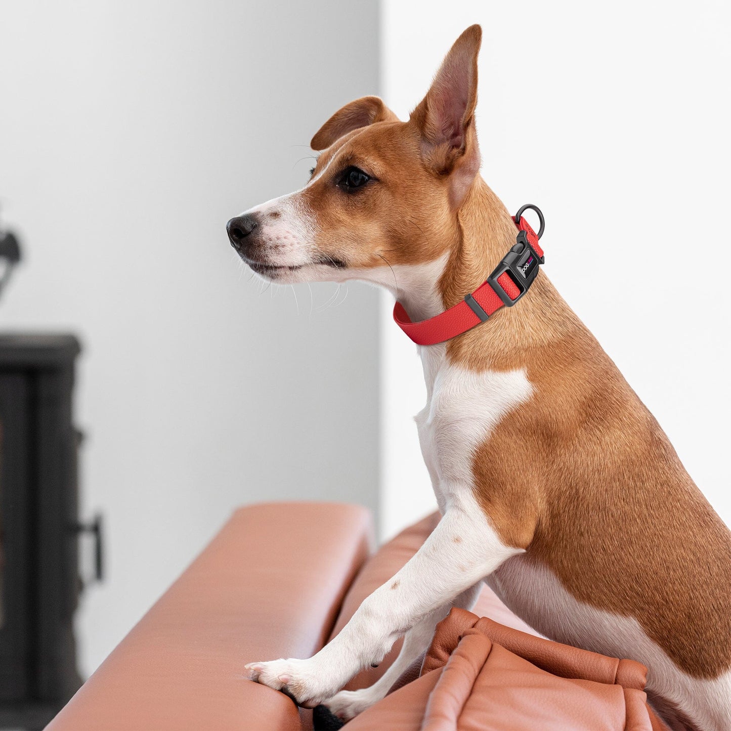 Pebble Emboss Biothane Dog Collar with Quick Release Buckle - Partner Brand
