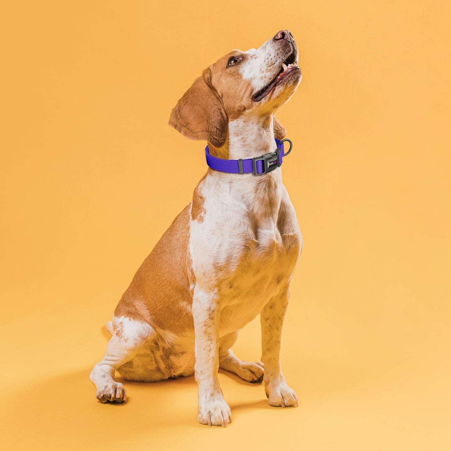 Pebble Emboss Biothane Dog Collar with Quick Release Buckle - Partner Brand