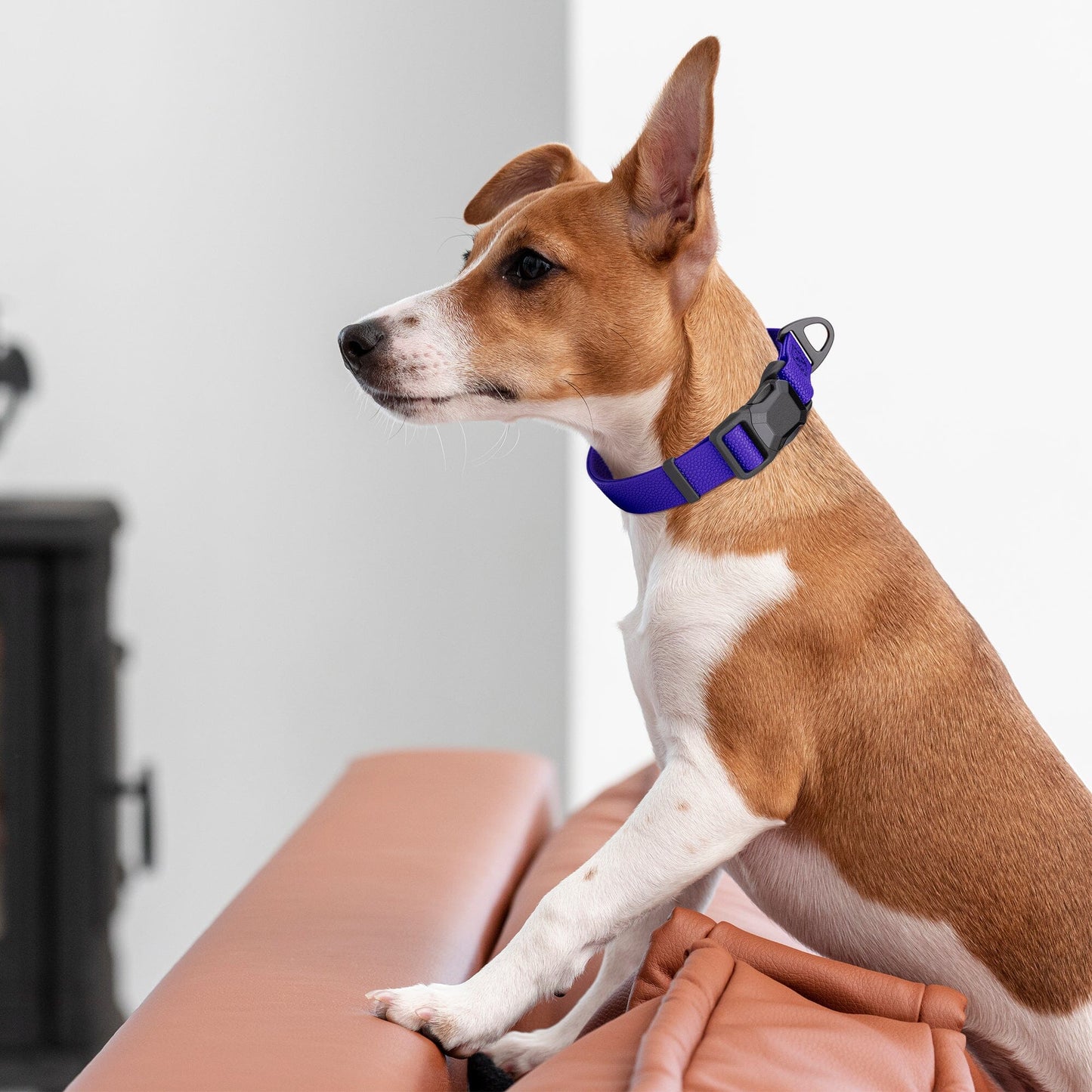Dogline Pebble Emboss Biothane Dog Collar with Magnetic Buckle - Partner Brand