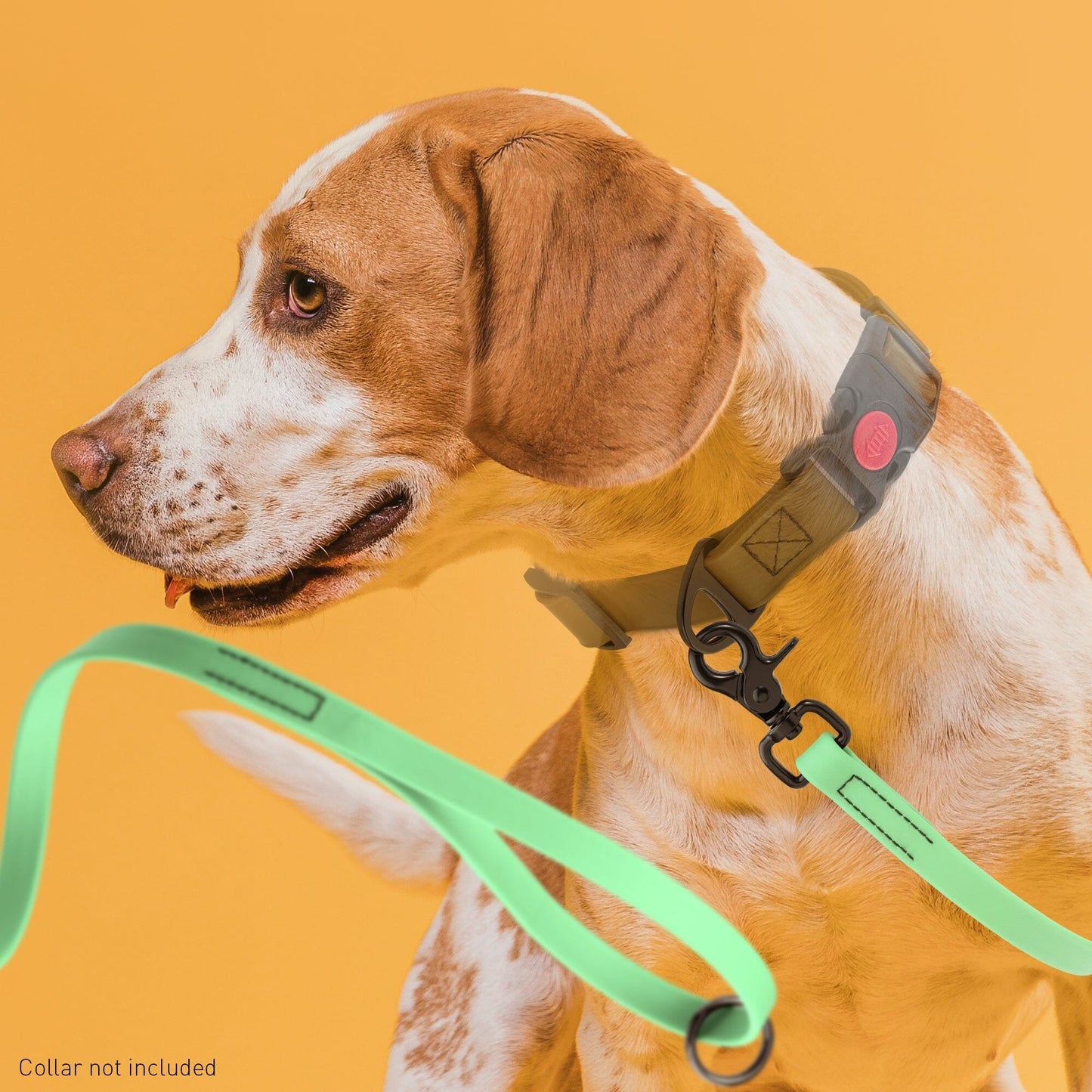 Biothane Dog Leash with Black Scissor Snap - Partner Brand