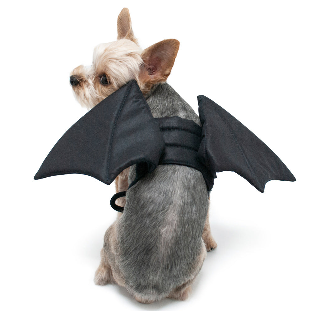 Bat Wing - Partner Brand