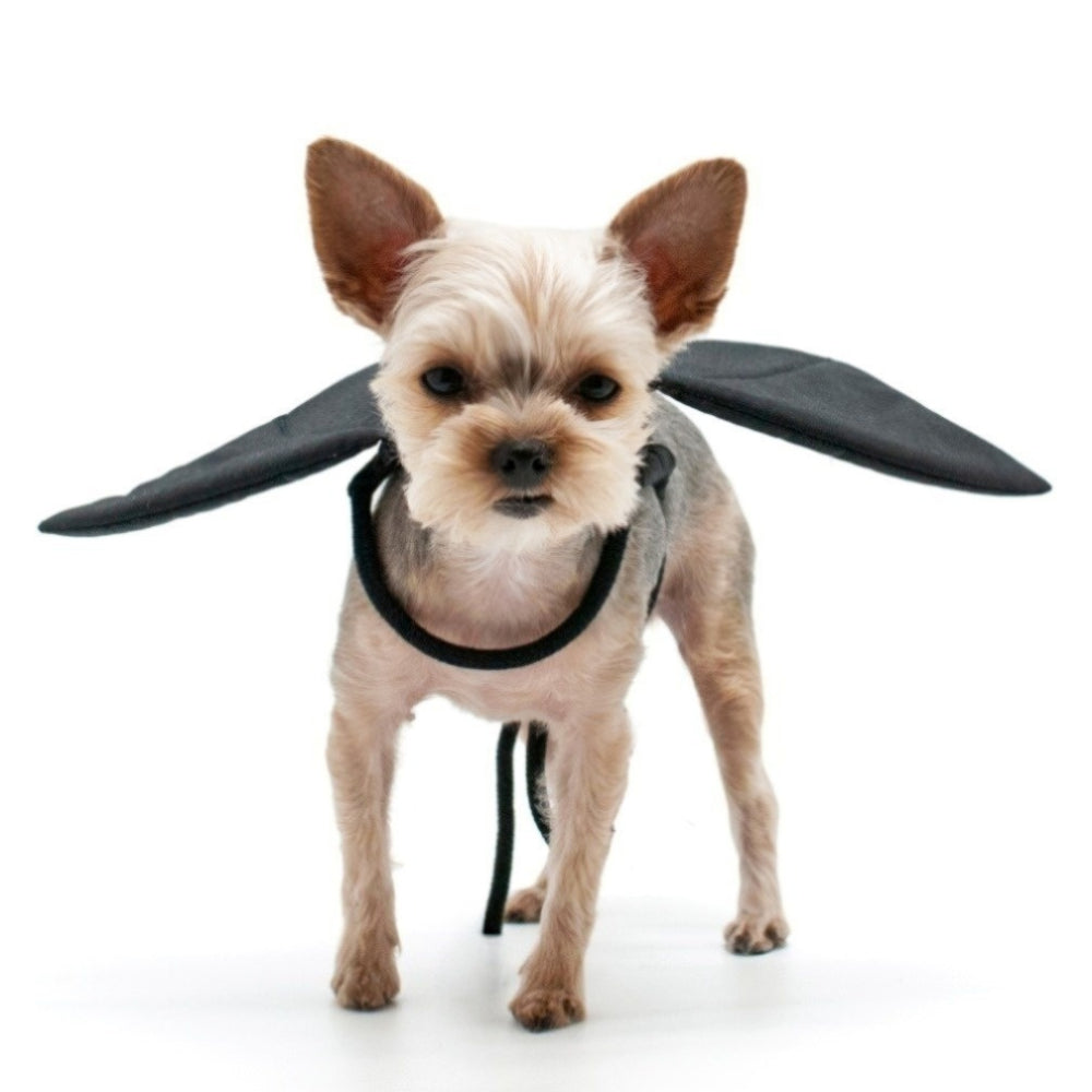 Bat Wing - Partner Brand