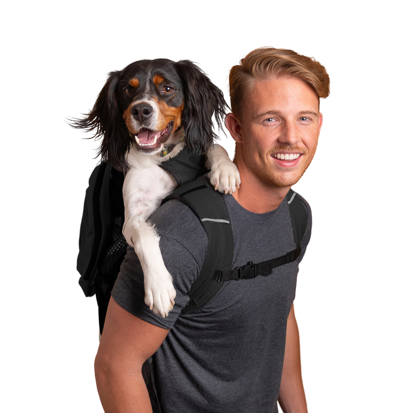 Plus 2 | Dog Carrier with Removable Storage - Partner Brand