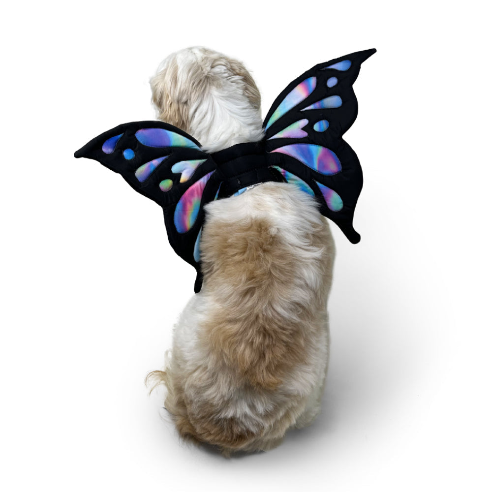 Butterfly Wing - Partner Brand