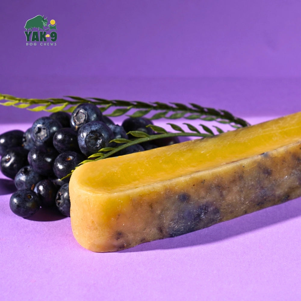 Blueberry Cheese Chews for Dogs - Partner Brand