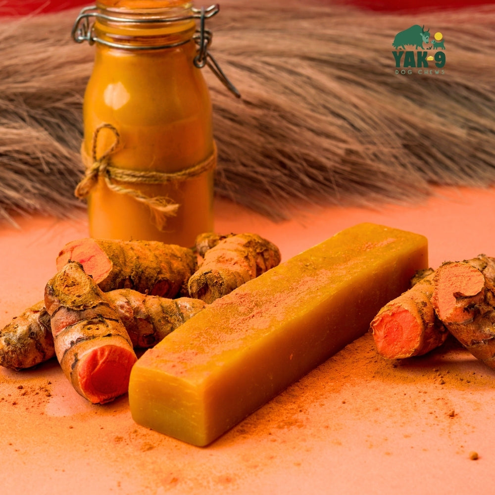 Turmeric Cheese Chews for Dogs - Partner Brand