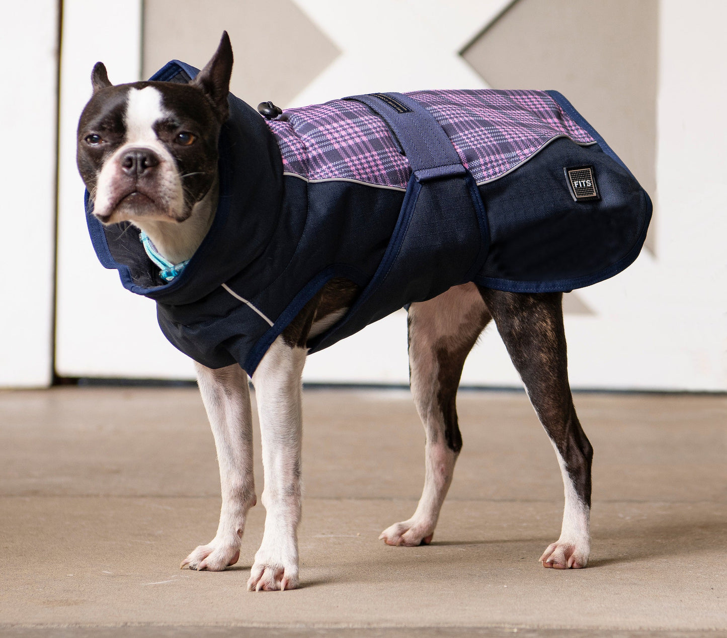 All Weather Dog Coat - Partner Brand
