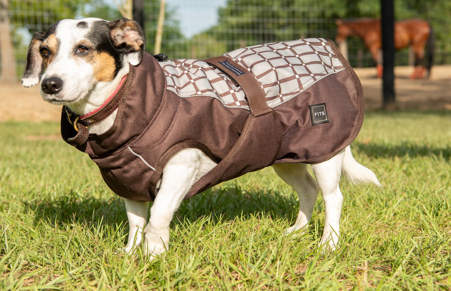 All Weather Dog Coat - Partner Brand