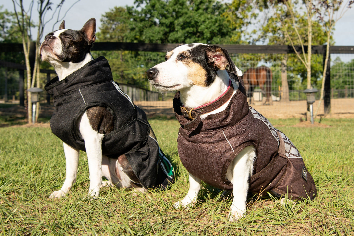 All Weather Dog Coat - Partner Brand