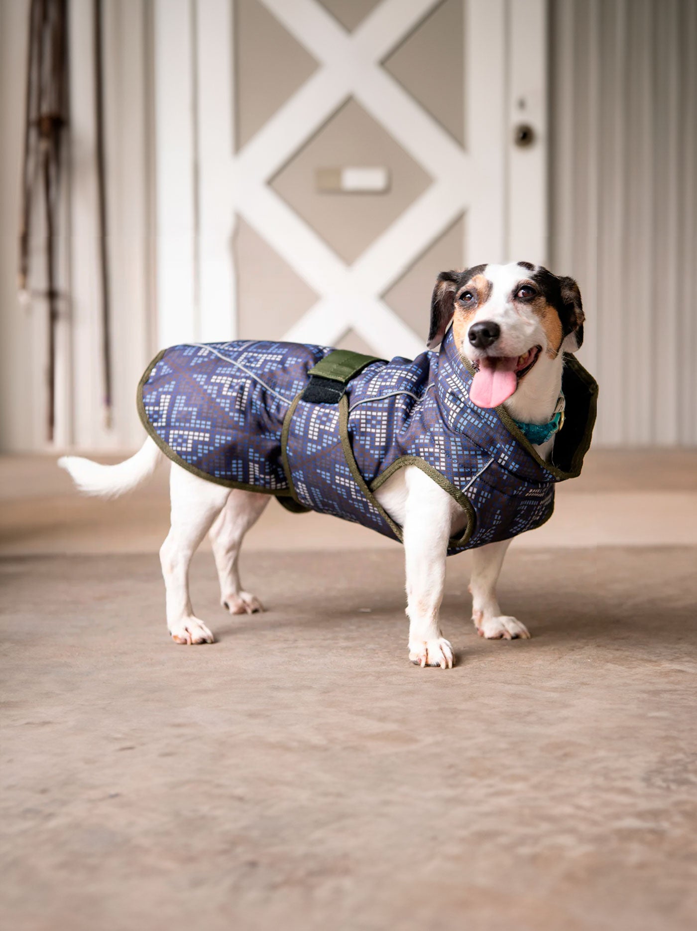 All Weather Dog Coat - Partner Brand