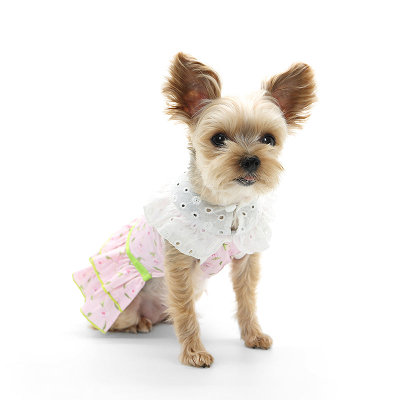 Ditsy Floral Dress - Partner Brand