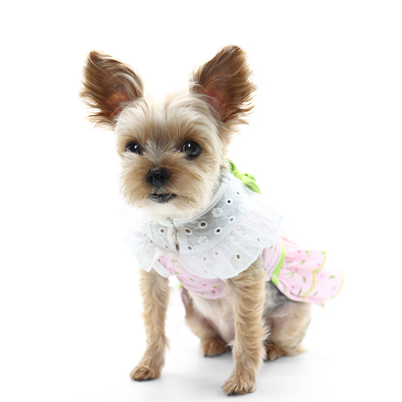 Ditsy Floral Dress - Partner Brand