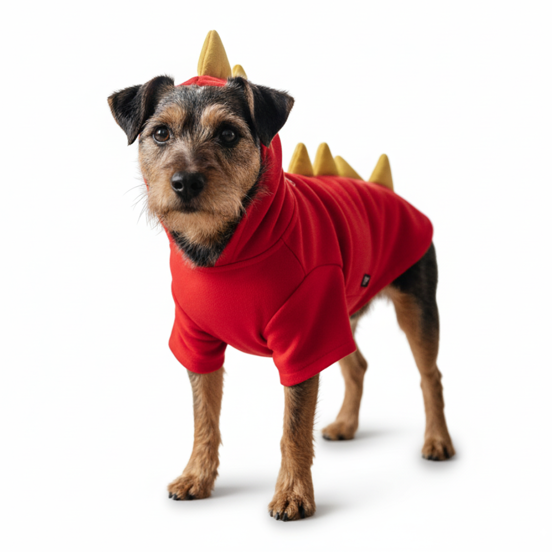 Dragon Sweatshirt - Partner Brand