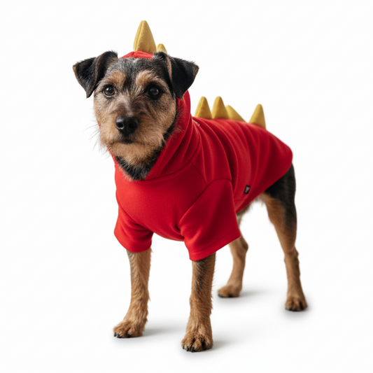 Dragon Sweatshirt - Partner Brand