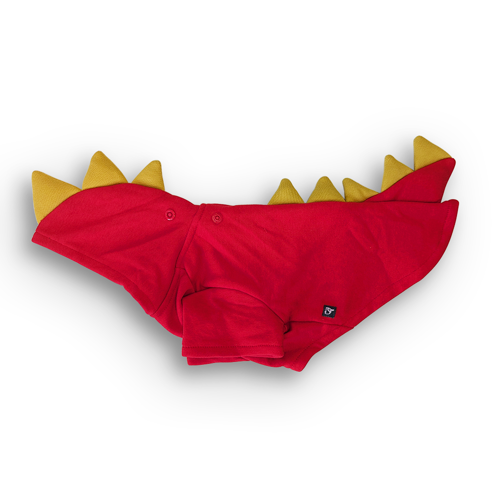 Dragon Sweatshirt - Partner Brand