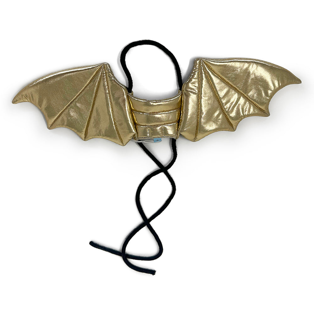 Dragon Wing - Partner Brand