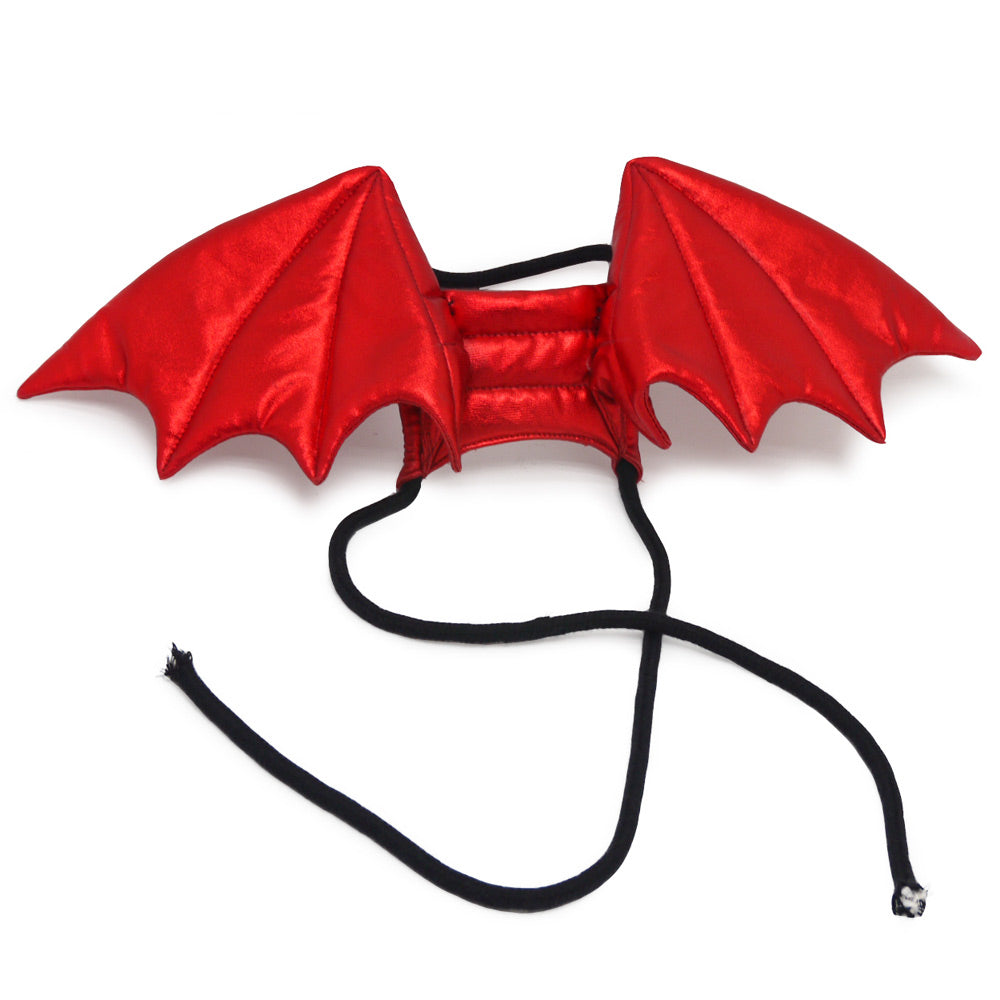 Dragon Wing - Partner Brand