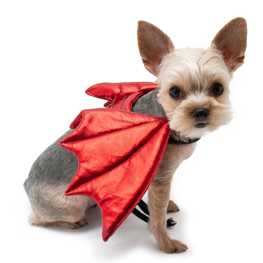 Dragon Wing - Partner Brand
