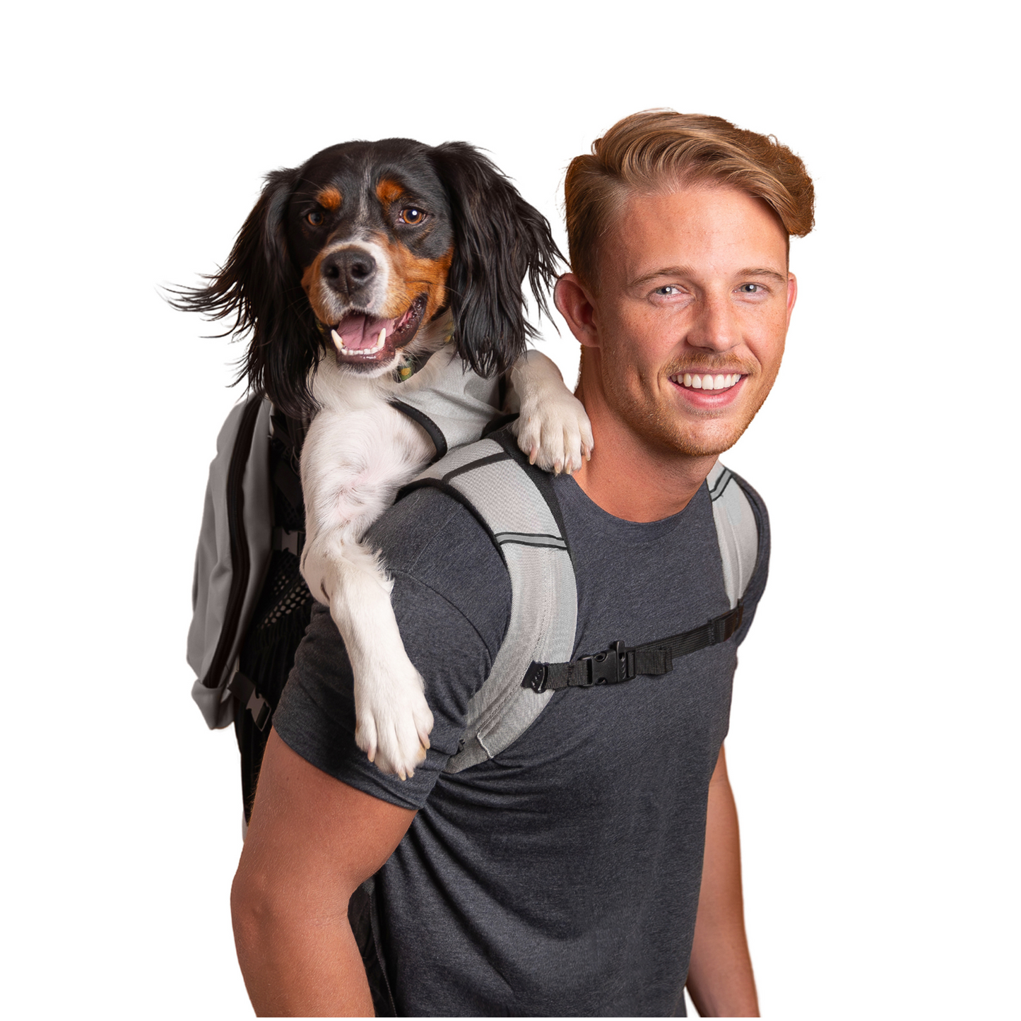 Plus 2 | Dog Carrier with Removable Storage - Partner Brand