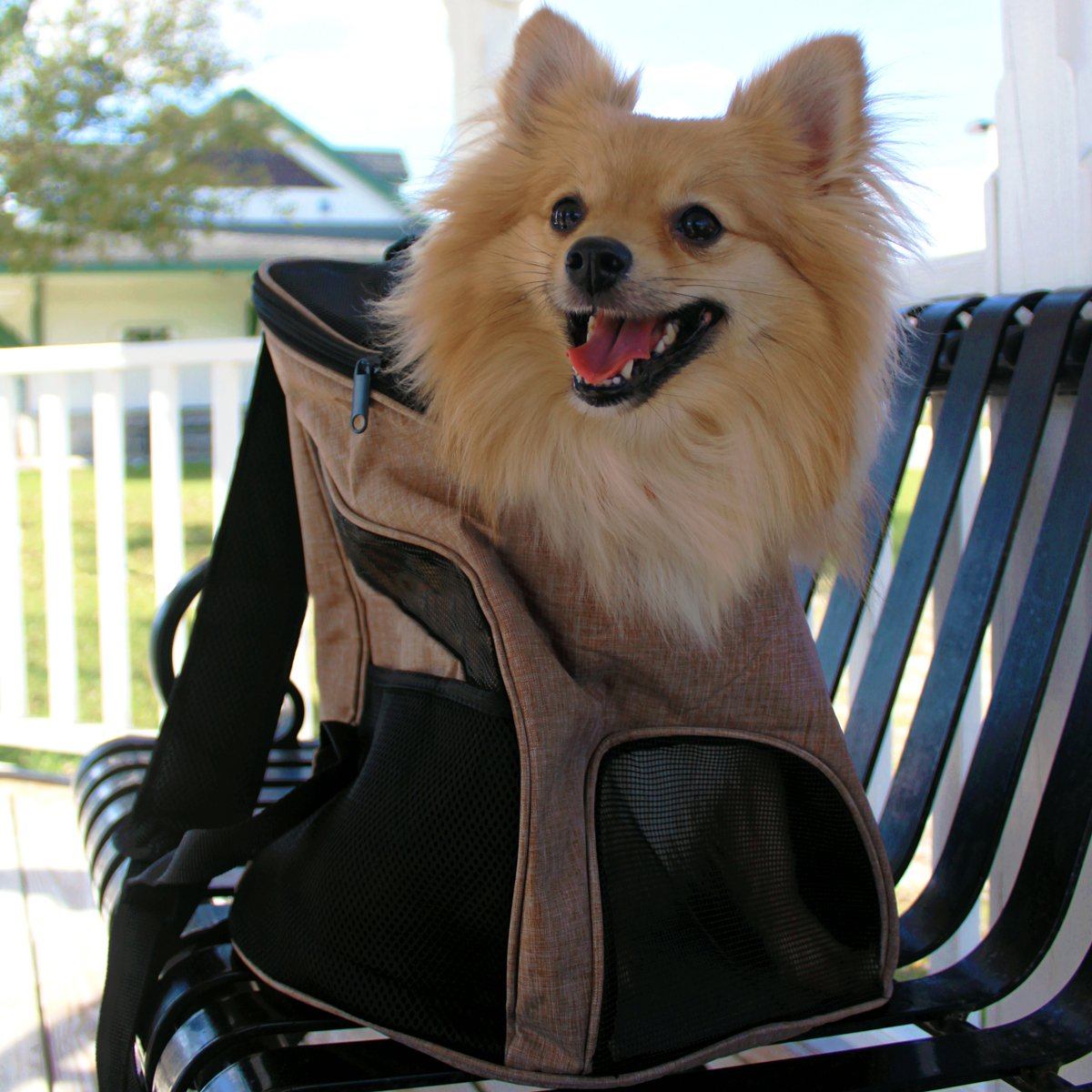 Pet Carrier Backpack - Partner Brand