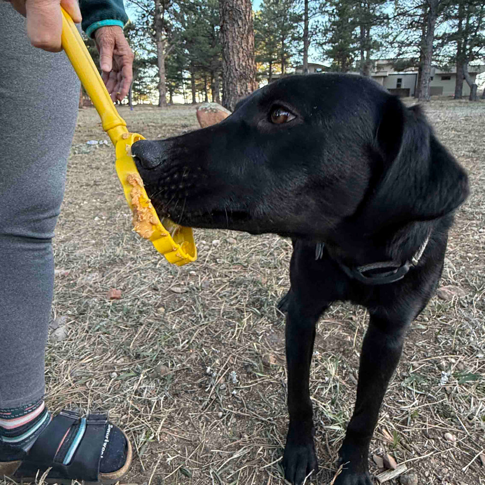 eStick Hand-Held Dog Enrichment Toy - Interactive Lick Stick - Partner Brand