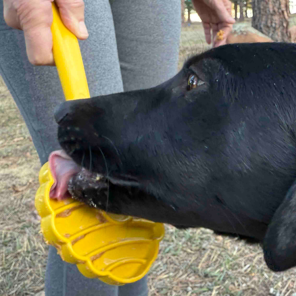 eStick Hand-Held Dog Enrichment Toy - Interactive Lick Stick - Partner Brand